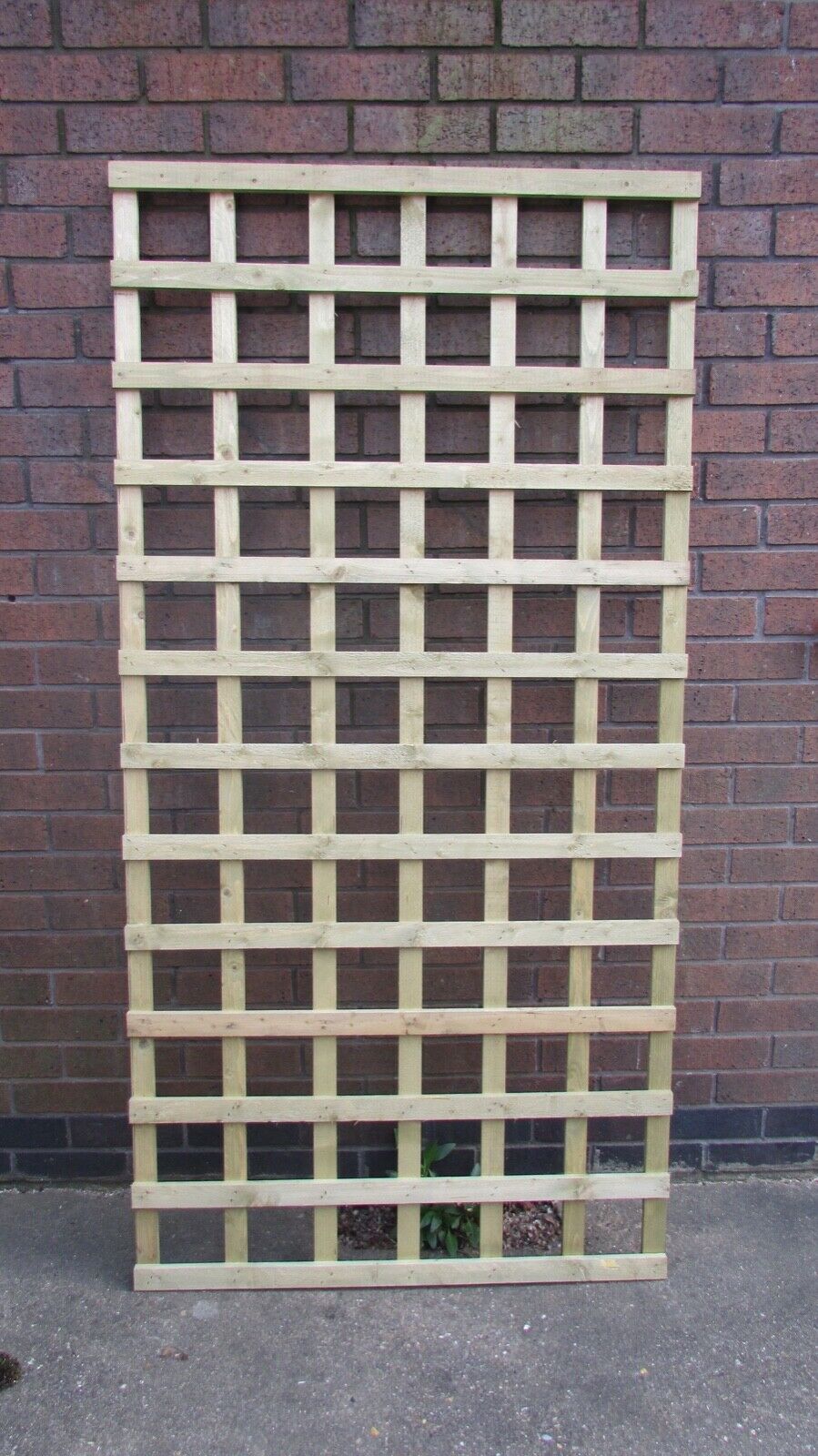 6x3 Wooden Square Trellis Against Brick Wall