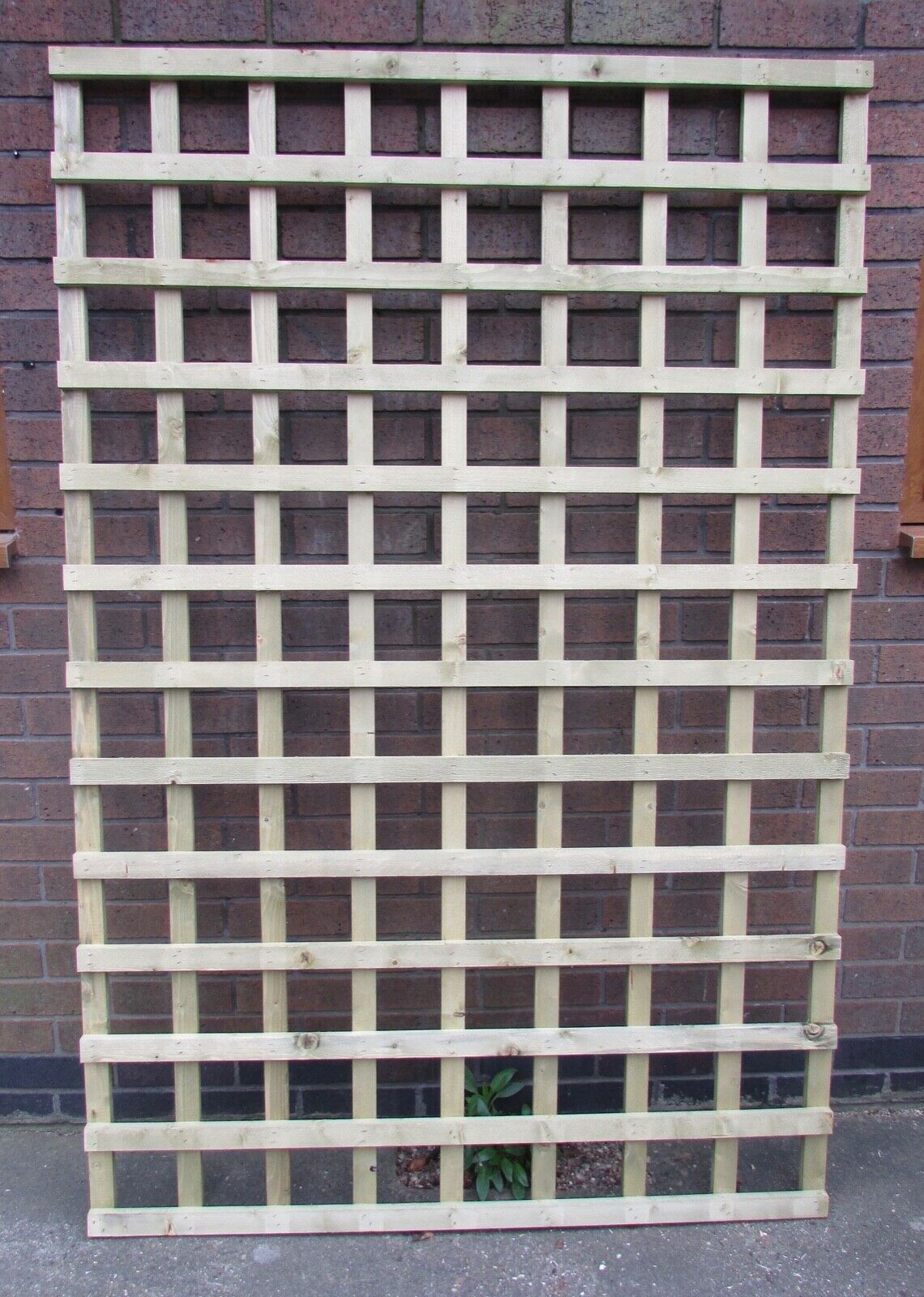 Square 6x4 wooden trellis against brick wall