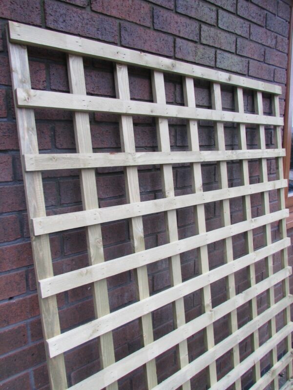 Close up of 6x4 square trellis against a red brick wall